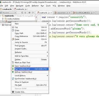 webStorm