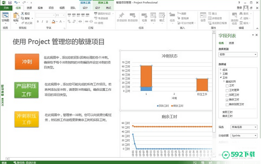 project[标签:软件类型