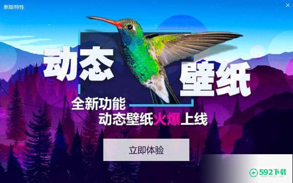 小鸟壁纸最新下载