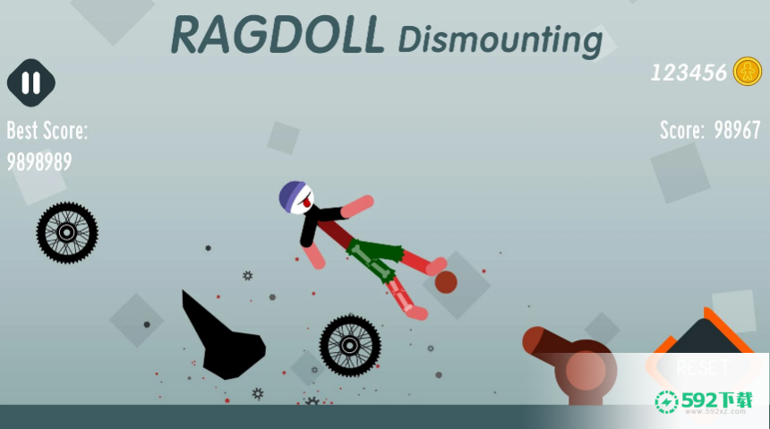 Ragdoll