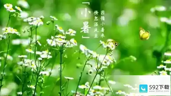 小暑节气的特点和风俗