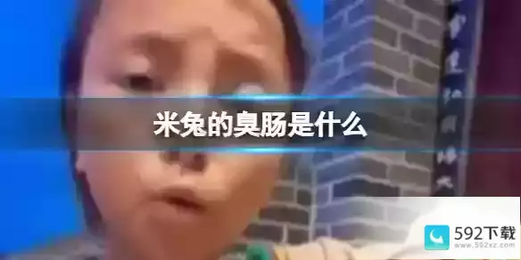 米兔的臭肠梗详解