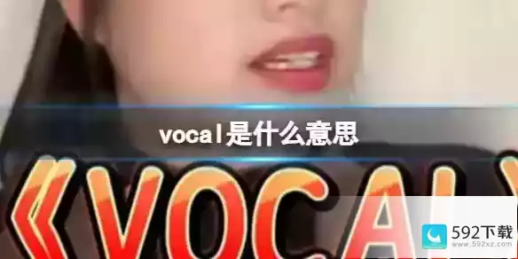 vocal分享意思